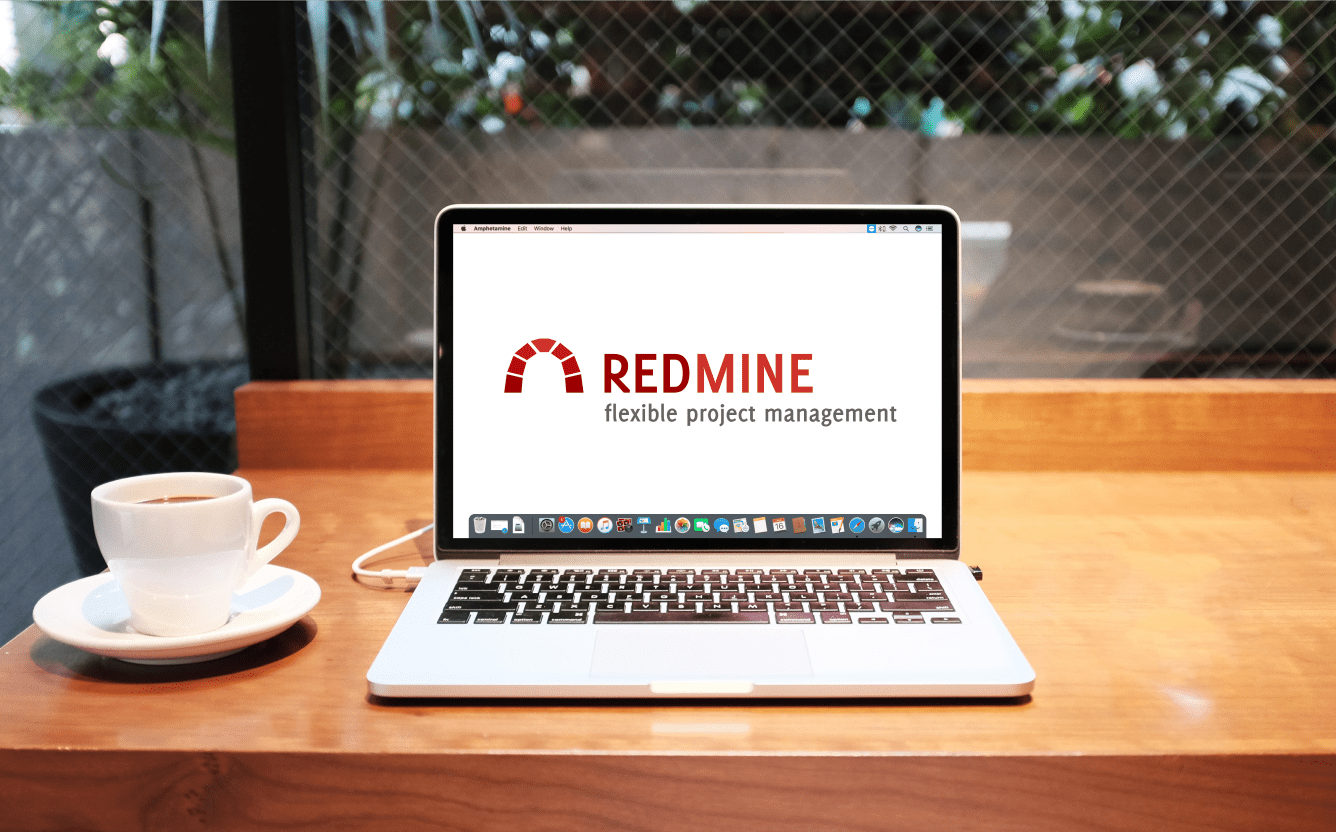 Professional Plugins for Redmine to Promote Your Project Management